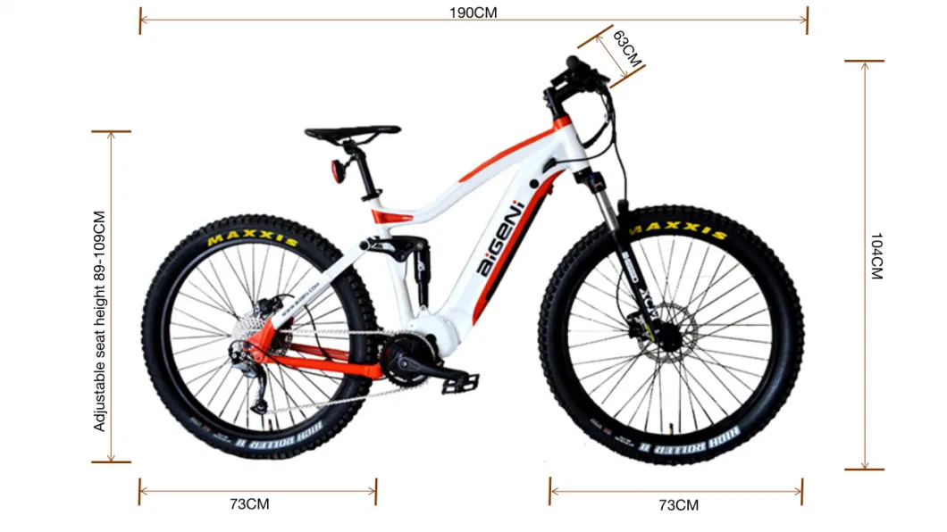 27.5 Inch Customized Suspension Electric Bicycle Fat Tire Ebike MTB