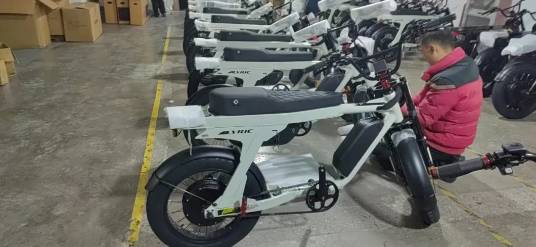 Best High Performance Electric Bike Moped Ebike