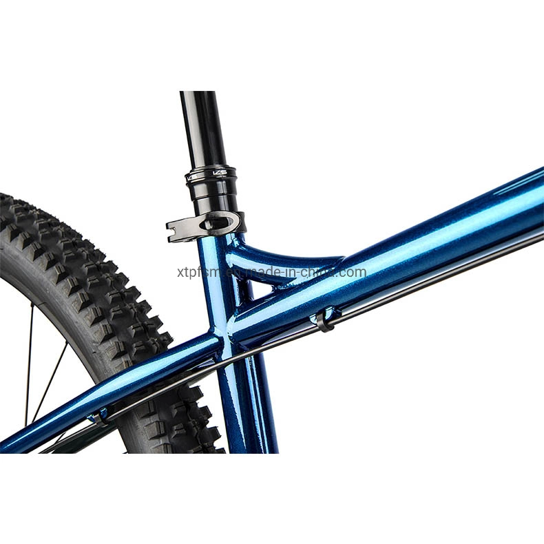 Factory Hot Selling Aluminum Alloy Hydraulic Brake Hardtail MTB Mountain Bike