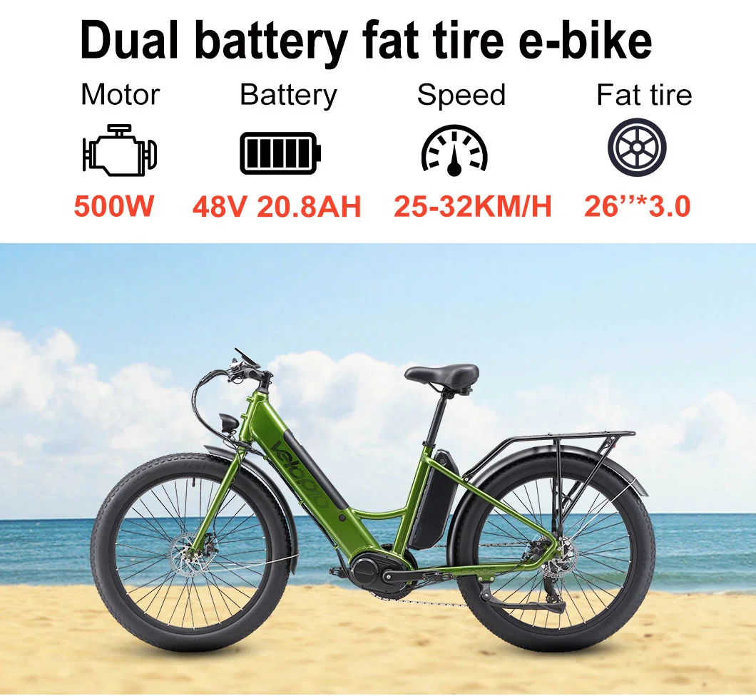 Popular Fat Bike Hardtail Electric Bike with Tektro Disc Brakes