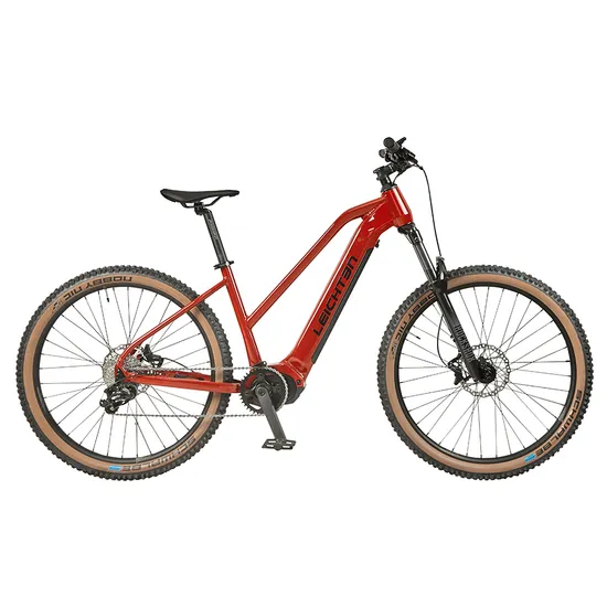 2025 Hardtail Electric Bike Wholesale China Supplier 48V Hidden Battery 250W Bafang MID Ebike Mountain 