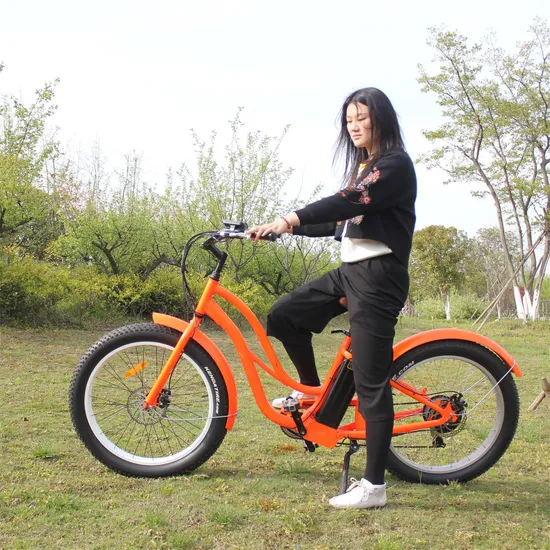 2021 New Style 26 Inch Electric Charging Electric Bikes with Pedals Downhill Electric Mountain Bike with En 15194 Approval 