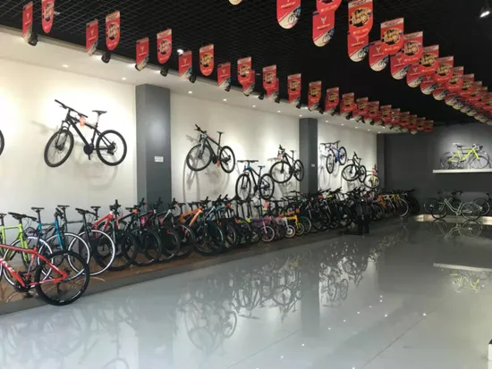 Factory Hot Selling Aluminum Alloy Hydraulic Brake Hardtail MTB Mountain Bike 
