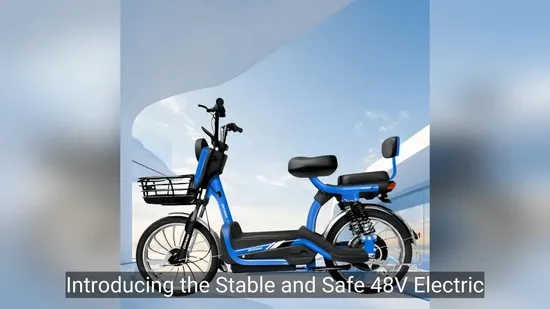 Adult Ebike, Street Legal E