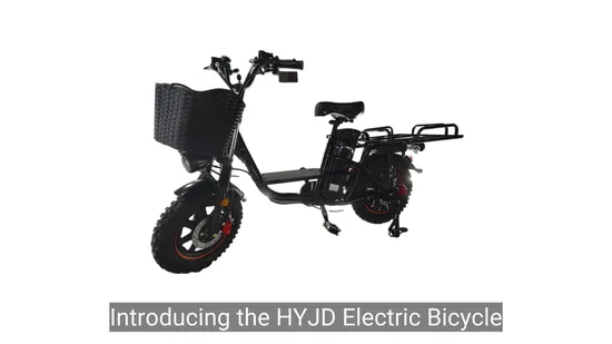 16inch Electric Motorcycles Electric Bike 350W 500W Wholesale Front and Rear Disc Brakes Electric Motorcycle Moped 