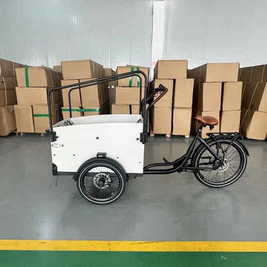 Stylish Cargo Ebike Bakfiets with Superior Stability for Comfort 