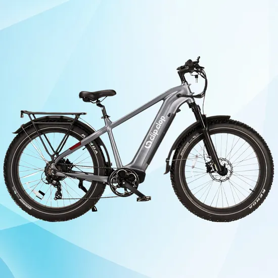 Hot Selling Customized Graphic Electric City Bike with Aftersale Guarantee 