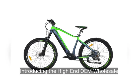 High End OEM Wholesale 29 Inch 36V250W Bafang MID