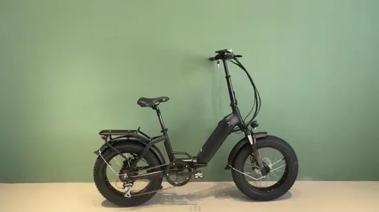 High Speed off Road Customized Lithium Battery 20 Inch 500W Fat Tire Sensor Equipped Electric Bike Ebike 