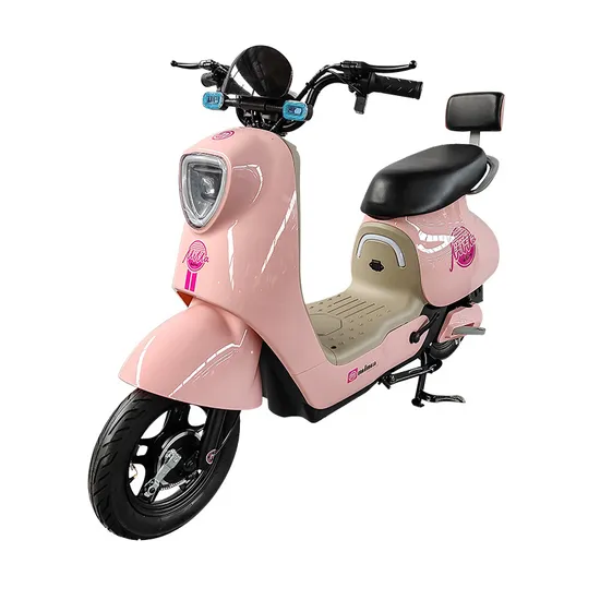 Battery Motor for Fat Tire Scooters 3 Wheel Bike 36V EU 48V in Bangladesh 5000W Kids 750W 1000W 12V DC Enduro Electric Bicycle 