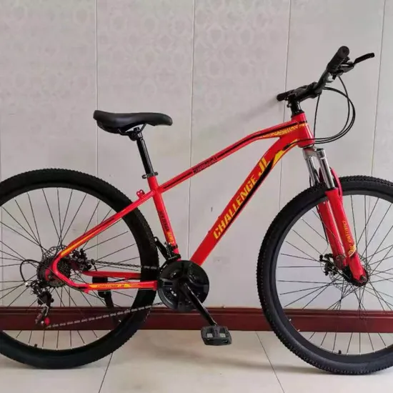 Factory Direct Travel Adult Children with Shock Absorption Racing Mountain Bike 