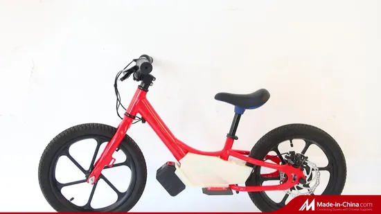 Kids Electric Balance Bike with CE Certificate 