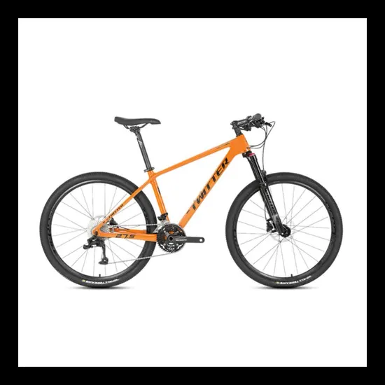 High Carbon Steel Downhill Road Bike Adult Mountain Bicycles 