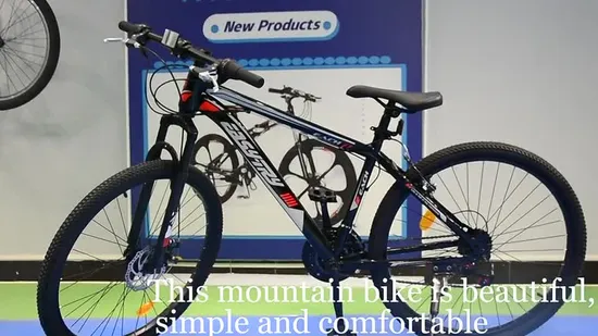 Adult Sports 700c Custom Road Bike Adult Wholesale Road Bike 