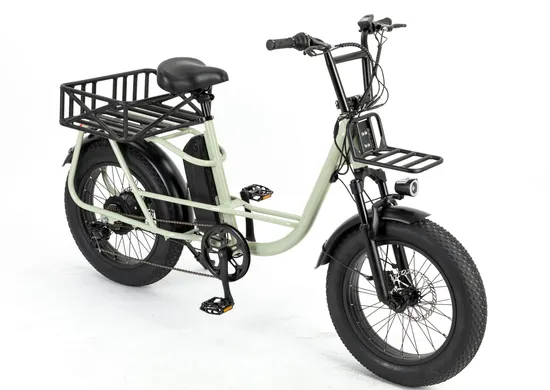 Hardtail 750W MID Drive Fat Ebike Long Range Electric Hybrid Bike City Bike 