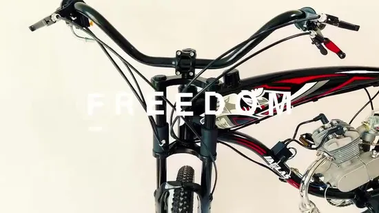 26 Inches Enduro Bike with Rear Shock Mountain Bicycle 