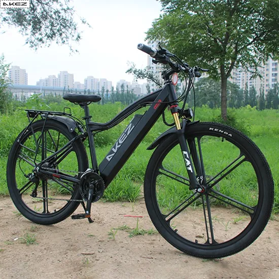 48V500W13ah Akez29 Inch New Commuter off