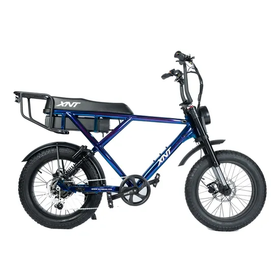 Original Arctic Leopard Powerful Electric Motorcycle 37kw 90km/H 105V 58ah off Road Electric Enduro Dirt Bikes 