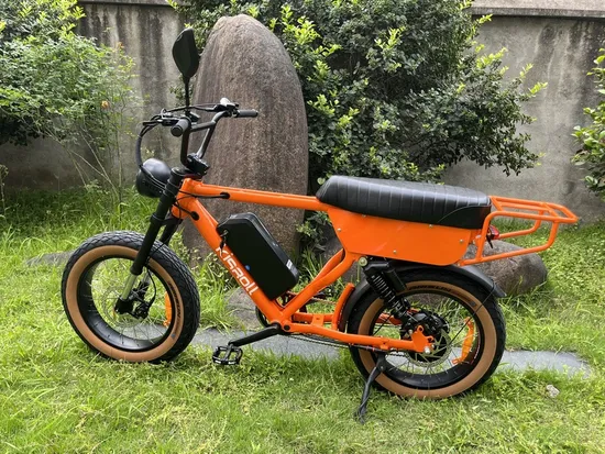 2025 Electric E Bike Fatbike 1000W 48V Big Wheel Electric Heavy Ebike Retro E
