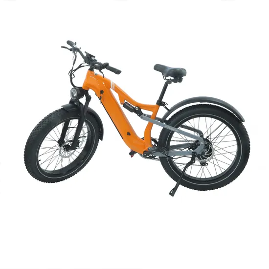 2025new Ultimate Comfort Fat Tire Electric Bike Fashion Electric Motorcyclewith 750W Powerelectric Cycle 