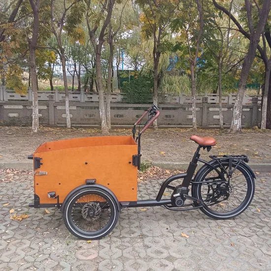 Ultimate Comfort Electric Cargo Bicycle for Outdoor Adventures 