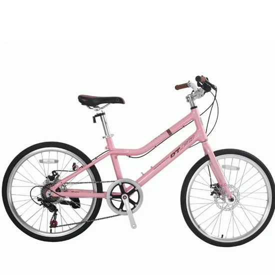 China Wholesale Sale Gravel Deore Adult Mountain Bike Bicycle 