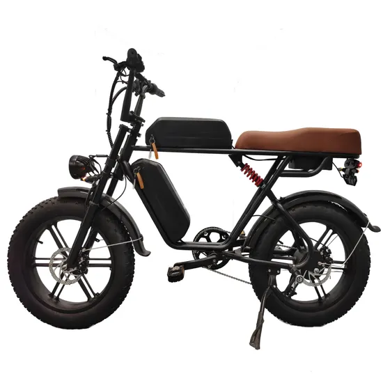 Electric Bicycle, off