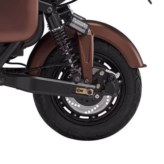 Queene/48V 750W Hidden Battery Fat Tyre Electric E