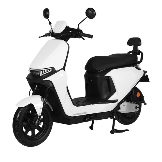 Motor Electric Bike Couble Person Folding Electric Scooter 48V Wide