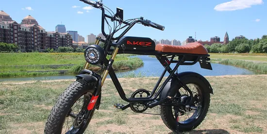 48V750W13ah Sustainable 20 Inch Lithium Ebike Lithium Battery Bicycle 