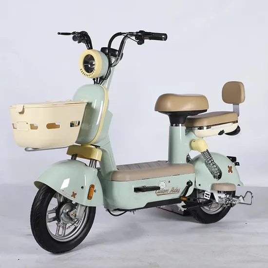 Versatile Electric Bike Long