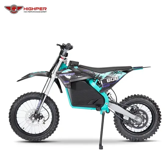1000W 1600W 2000W Lithium Pitbike Comfort Moto Kids Teens Electric Vehicle Dirt Bike 