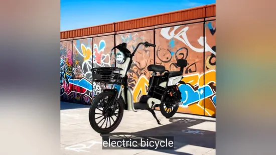 Stylish Electric Bicycle Des2