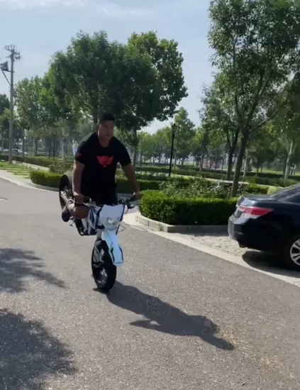 2023 Admitjet Amor Adult Emotorcycle Best E Mountainbike Fast 12000W Enduro Motorcycle Ebike Electric Dirt Bike