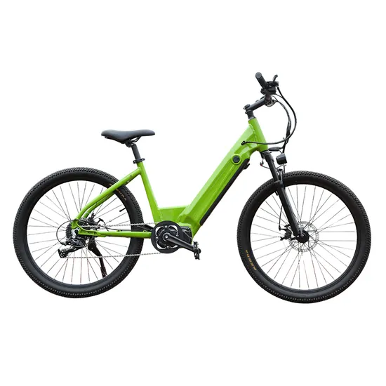 48V DC 350W 10.4ah Battery Cycle Electric City Bike Disc Brake Bike Enduro Ebike 