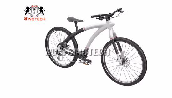 Carbon Fiber 12 Speed Road Bikes Gravel Bike Racing Bicycle Bicicleta Adults