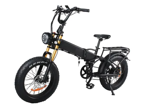 Electric Fat Tire Mountain Bike for Men with Customized Logo 
