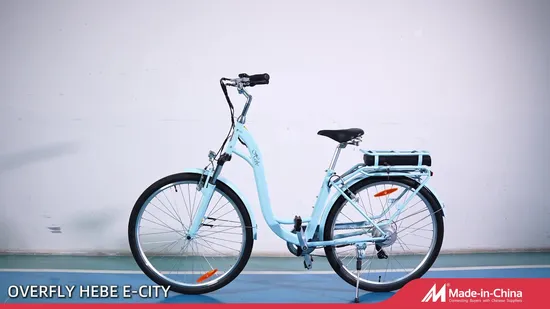 250W Comfort E Bike with Shimano 7 Speed