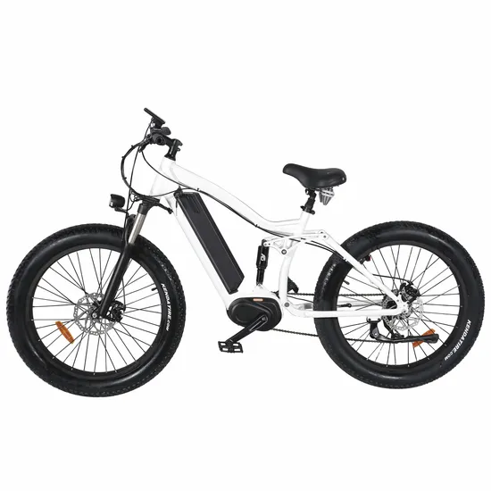 New Style Downhill Electric Mountain Bike for Sale 