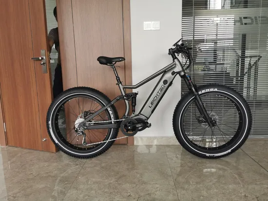 High Quality Hardtail E