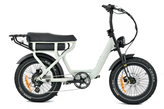 New Design Fat Tyre Road Full Suspension Fast 1000W Retro Vintage Ebike 