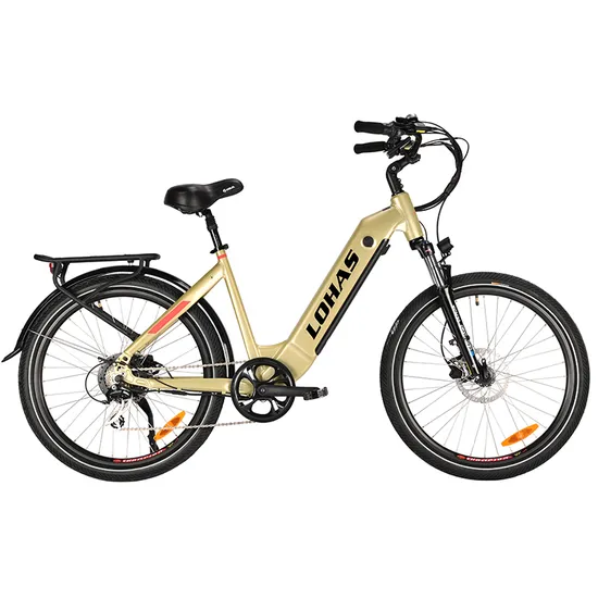 Removable 48V 10.4ah Battery Urban Riding Comfort E
