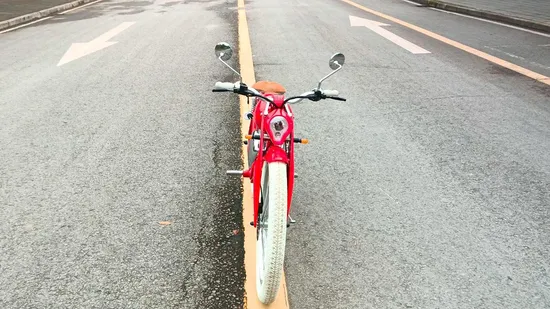 High Reliability High Speed Street Adult Classic Riding Super Jianshe Commuter Mini Fat Tire Electric Bike 