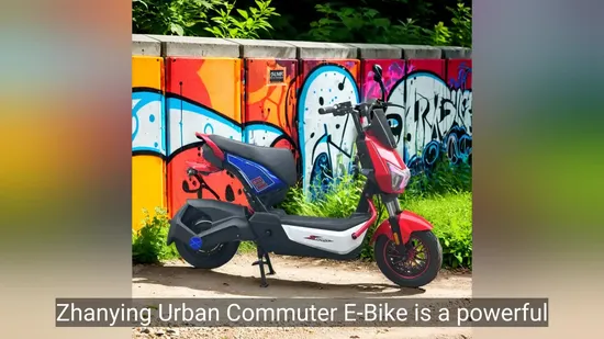 Factory Directly Sale 800W Scooter Motorcycle/Adult Electric Motorcycle/Electric Motorcycle for Adult 