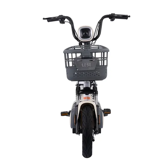 Lytang Lvju Mini Portable 48V/350W Lead Acid Battery Electric Bike 
