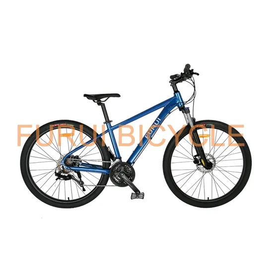 2025 MTB Bicycle Bike Hardtail with Suspension Fork 