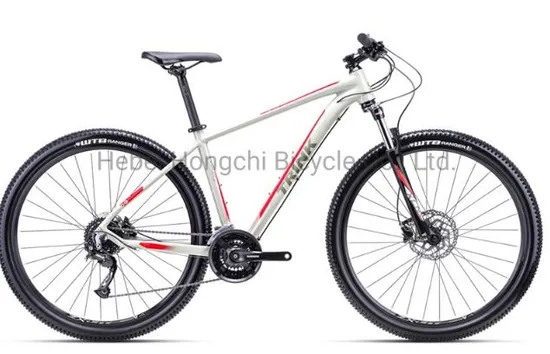 700c Single Speed MTB Road Bike 