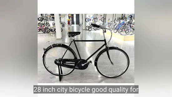 Good Qality Single Speed Mountain City Road 28/29 Size Iron Steel Material Bike Bikes for Man 