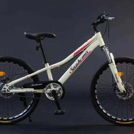 Original Wholesale Outdoor Cyclocross Bike Road Adult Mountain Bike 