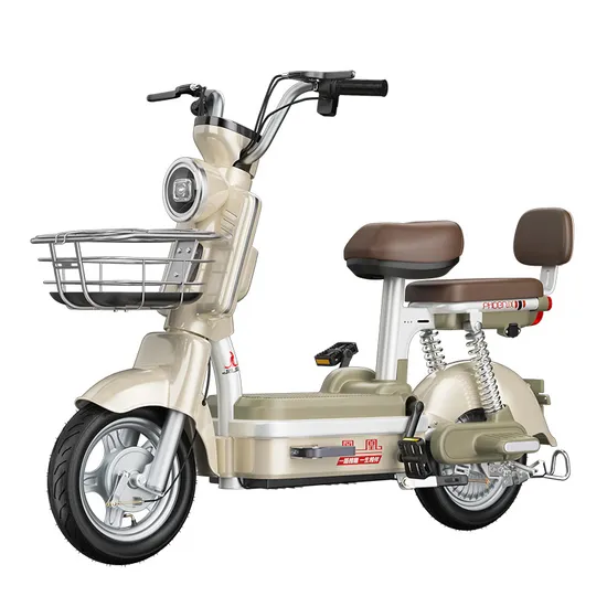 500W 12ah 14ah 16ah 20ah 24ah 100km City Leisure Adult Electric Bike 2 Seat Commuter Electric Bike 
